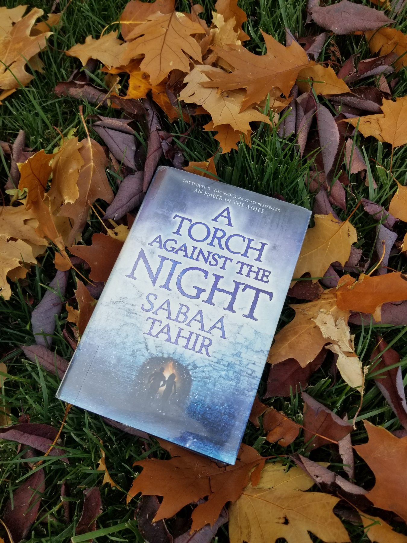 Novel A TORCH AGAINST THE NIGHT with grass and fallen leaves