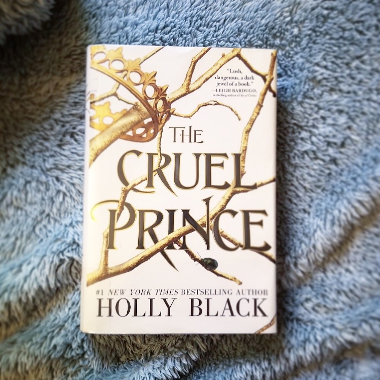 The Cruel Prince by Holly Black on top of a fuzzy blue blanket