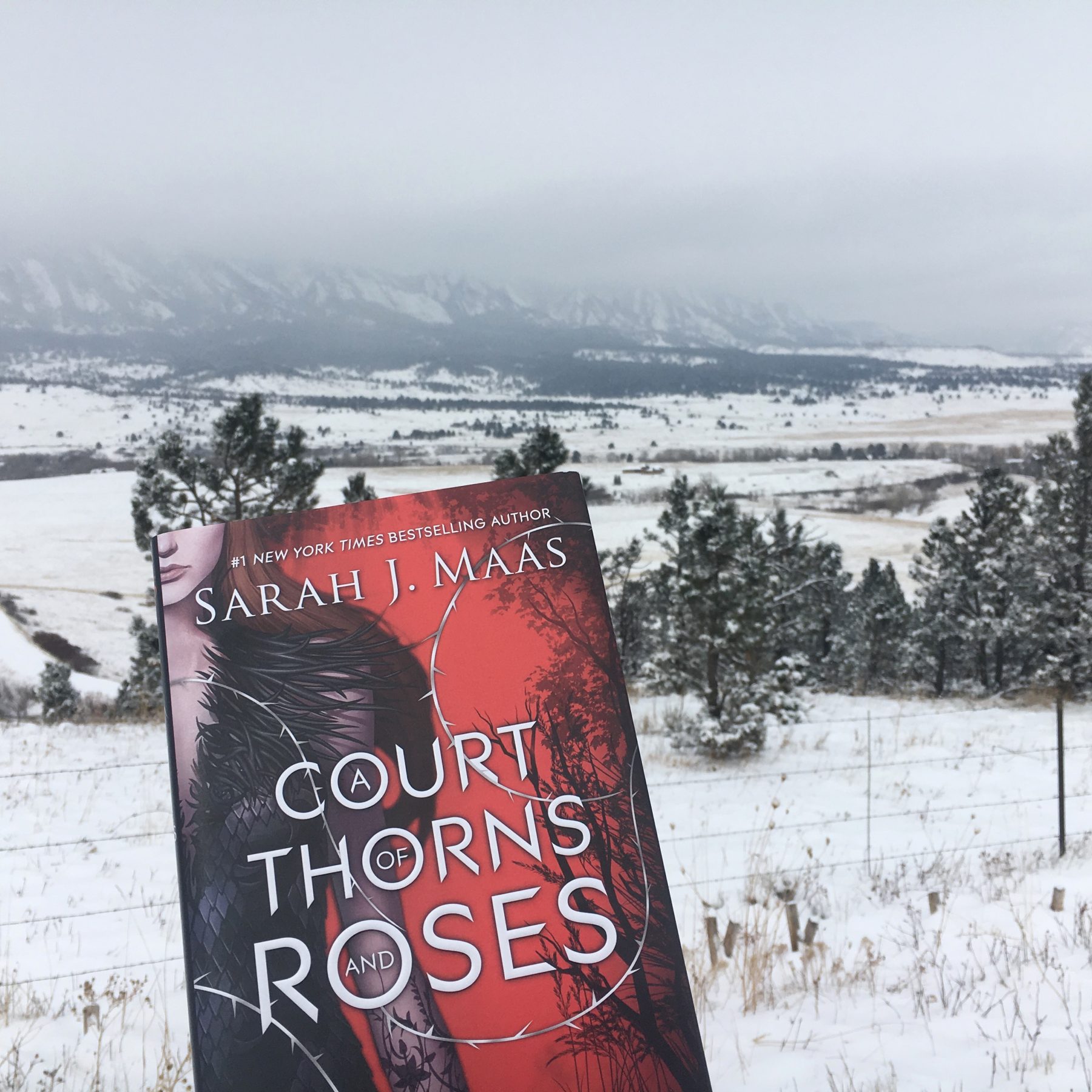 A Court of Thorns and Roses by Sarah J. Maas in front of the snowy CO front range