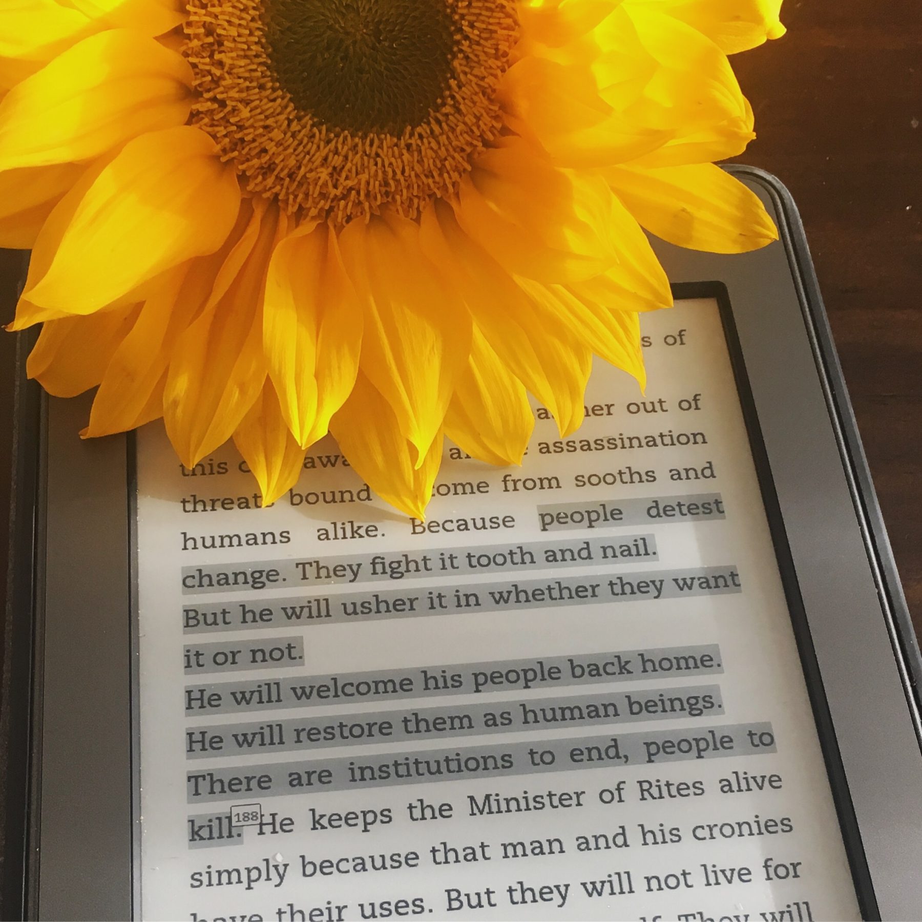 Highlighted section of text (Descendant of the Crane by Joan He) on a black kindle. A sunflower sits on top of the kindle