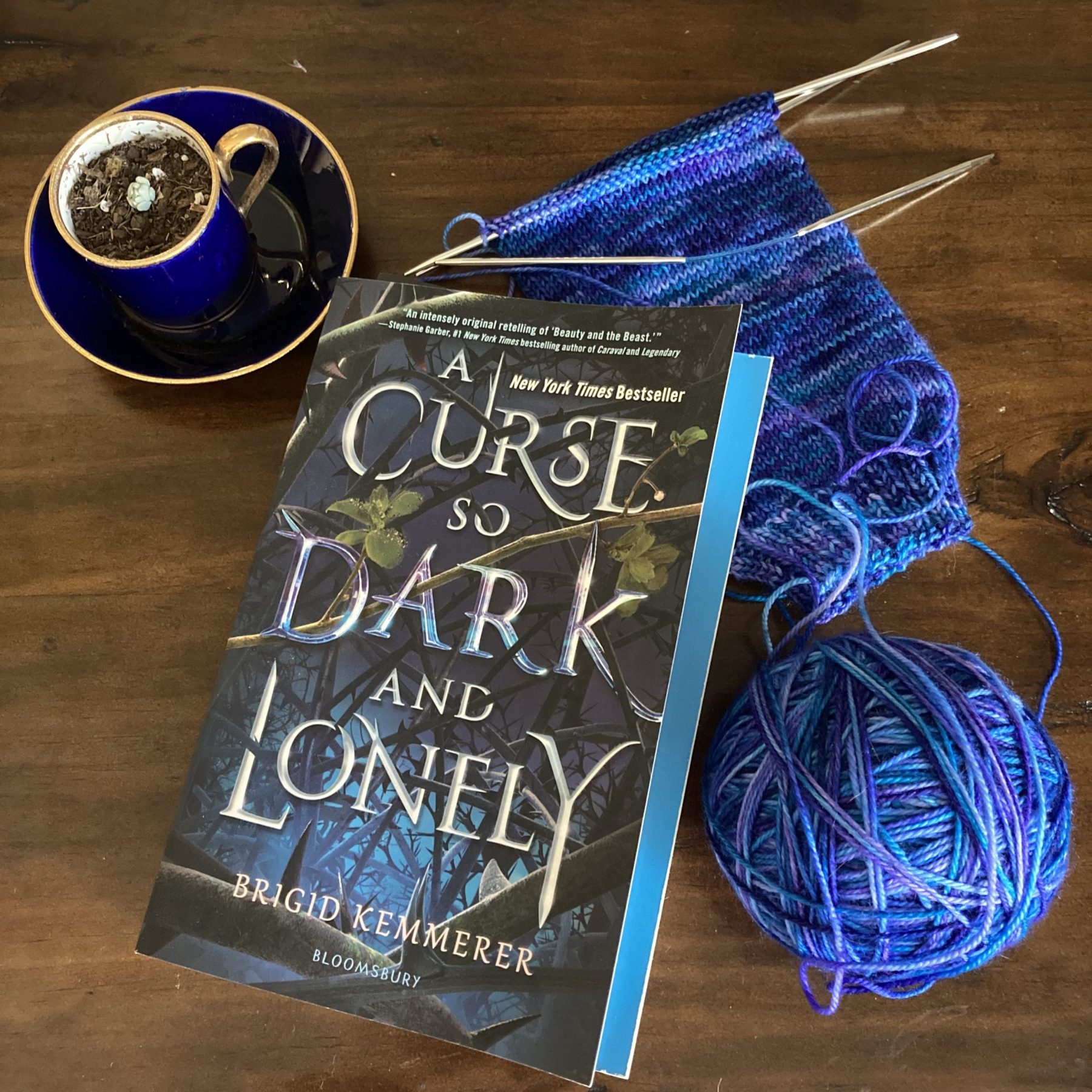 A paperback copy of A CURSE SO DARK AND LONELY by Brigid Kemmerer sits on top of a brown wood desk. A small succulent in a tiny navy teacup/saucer with gold trim sits to the left. To the right, a half-finished sock on double-pointed knitting needles rests by a ball of yarn (variegated blues and purples)