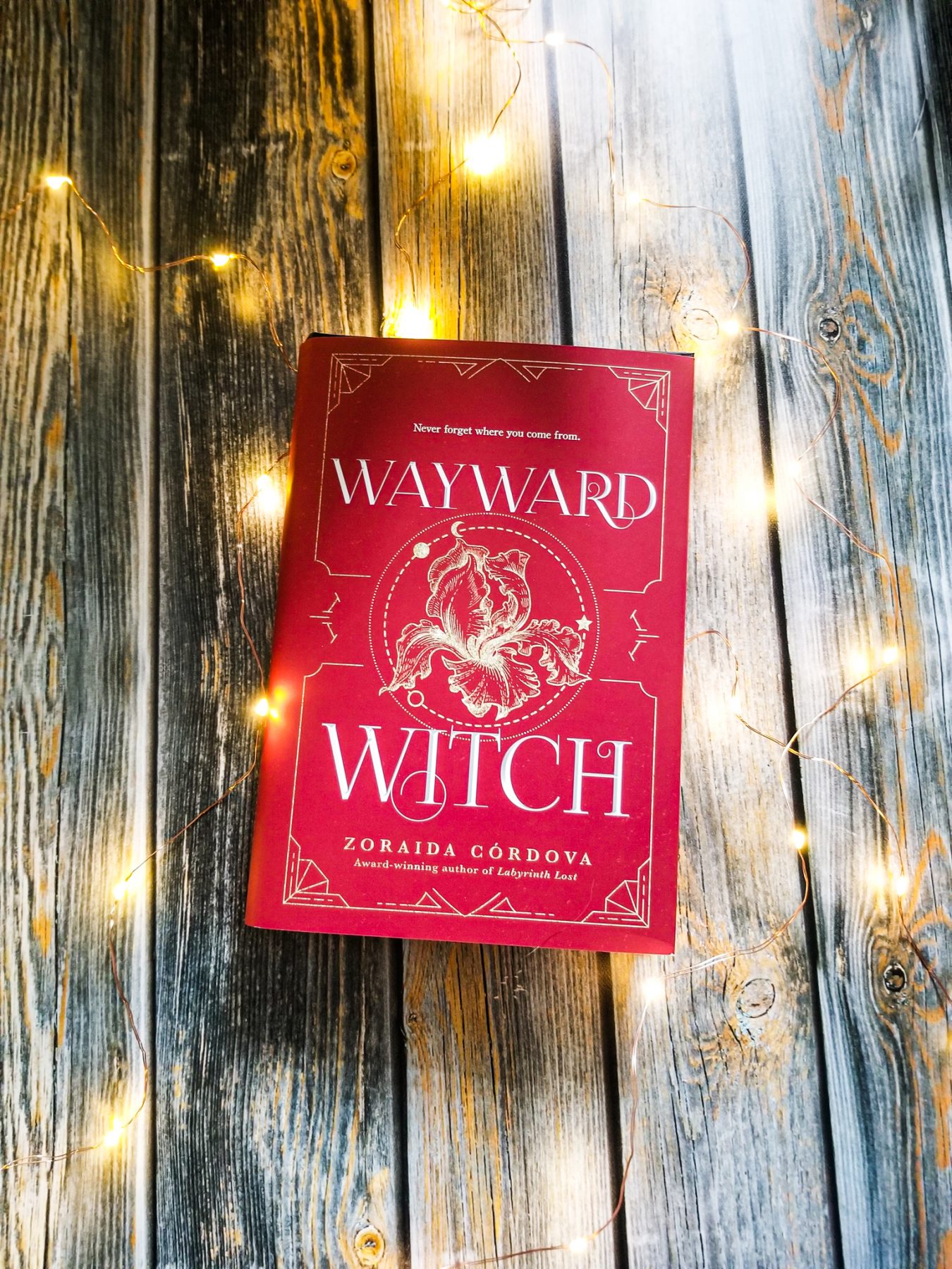 Wayward Witch with fairy lights around it