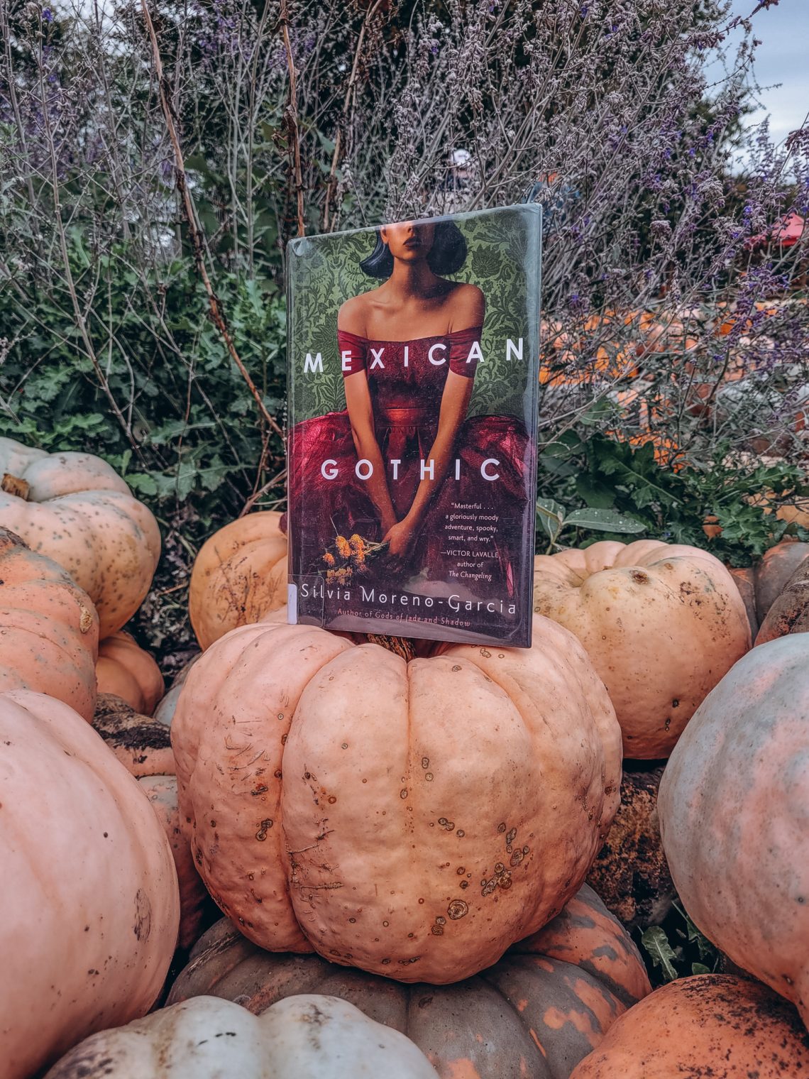 Mexican gothic sits atop a pile of orange pumpkins with scrub brush in the background