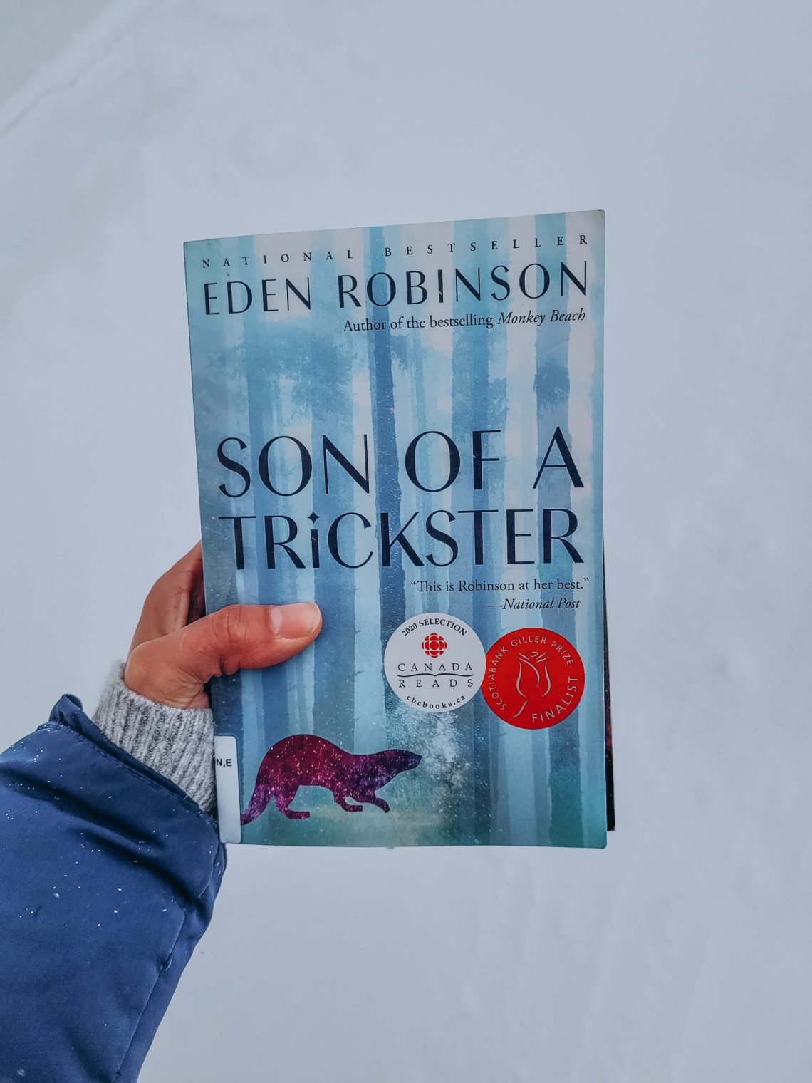 son of a trickster held up by a light brown hand in front of a white/snowy background